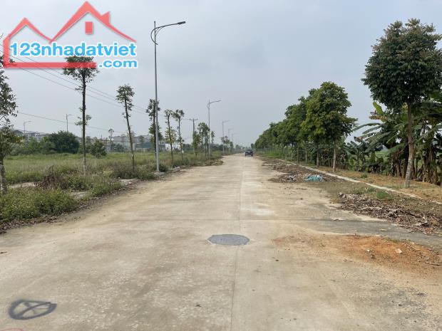 Bán đất đấu giá Lai Sơn, Đồng Tâm, Vĩnh Yên. DT 100m2 - 1