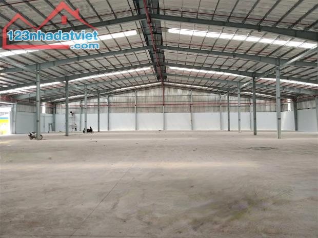 CỤM KHO TAM BÌNH TRỐNG KHO 3000M2 - 1