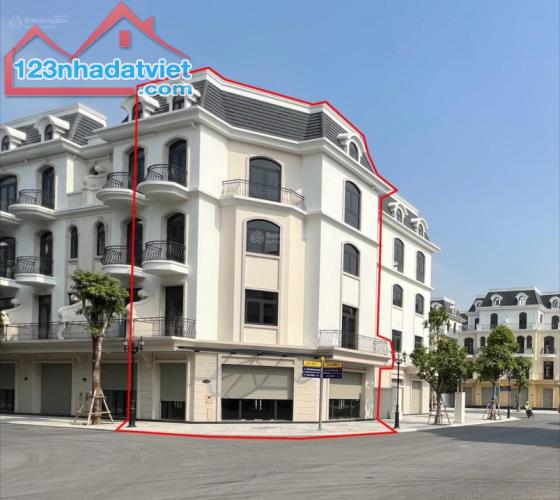 Chính chủ không có nhu cầu sử dụng nên bán lại căn shophouse góc view trực diện 9 tòa cc - 1