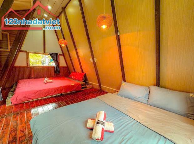 CHO THUÊ HOMESTAY ĐƯỜNG Ô TÔ THÁNH MẪU PHƯỜNG 7 ĐÀ LẠT, 6PN FULL NỘI THẤT GPKD PCCC, 17TR - 1