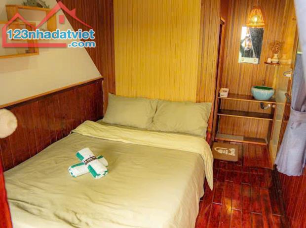 CHO THUÊ HOMESTAY ĐƯỜNG Ô TÔ THÁNH MẪU PHƯỜNG 7 ĐÀ LẠT, 6PN FULL NỘI THẤT GPKD PCCC, 17TR - 3