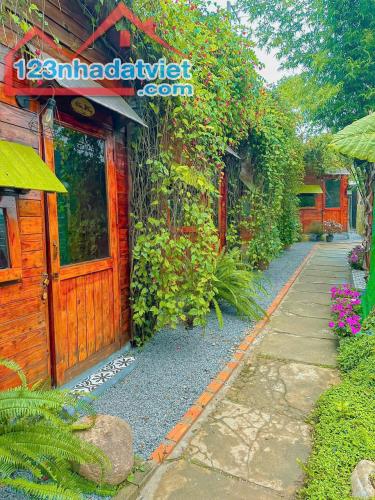 CHO THUÊ HOMESTAY ĐƯỜNG Ô TÔ THÁNH MẪU PHƯỜNG 7 ĐÀ LẠT, 6PN FULL NỘI THẤT GPKD PCCC, 17TR - 4