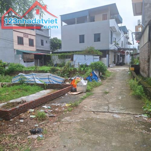 Bán đất Hương Đình, Mai Đình 124m2, MT 8m giáp KCN Nội Bài giá hơn 2 tỷ xíu