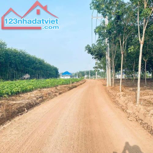 cần bán lô đất thổ cư ngay kcn bình dương, 250m2 100m2 thổ cư, giá đầu tư chỉ 250tr còn lạ