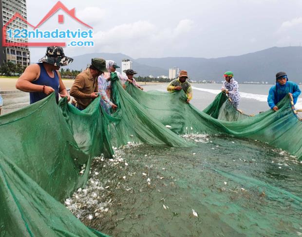 Đất 2 lô liền kề đường Nguyễn Tất Thành, view thẳng biển, ngay Bãi Tắm Thanh khê Đà Nẵng. - 1