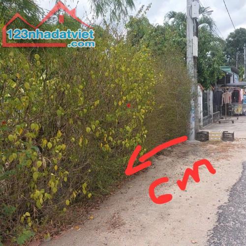 Đất Đẹp Giá Tốt Khu Bàn Cờ Xã Cam Thành Nam - Cam Ranh, Khánh Hoà - 4