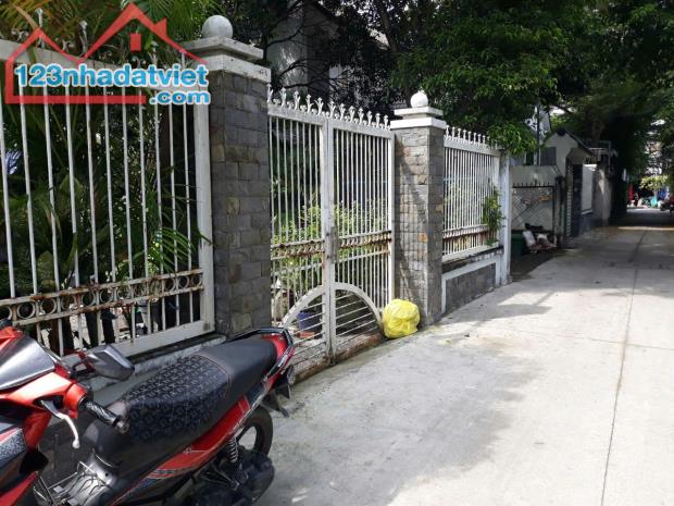 Đất Thô Cư 8 x 39m, Sát Lê Thị Hà + Trung Mỹ Tân Xuân , Hóc Môn, Tăng Nhà Cấp 4