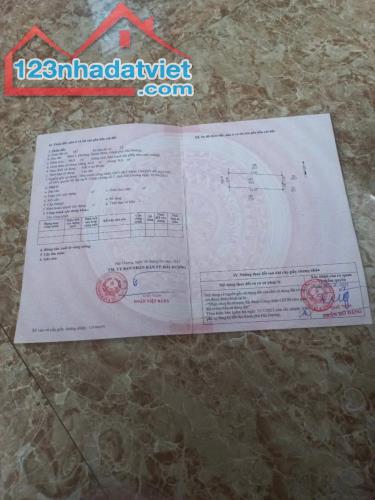 Bán lô đất ngõ 293 Nguyễn Lương Bằng, ph Thanh Bình, TP HD, 66.8m2, mt 4.5m, ngõ oto - 3