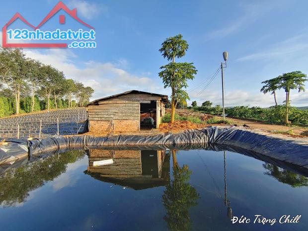 Bán đất Vườn nghỉ dưỡng View Đẹp tại thôn 1,xã Tà Năng,Đức Trọng,Lâm Đồng.350 triệu/sào - 1