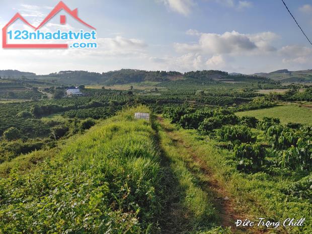 Bán đất Vườn nghỉ dưỡng View Đẹp tại thôn 1,xã Tà Năng,Đức Trọng,Lâm Đồng.350 triệu/sào - 3