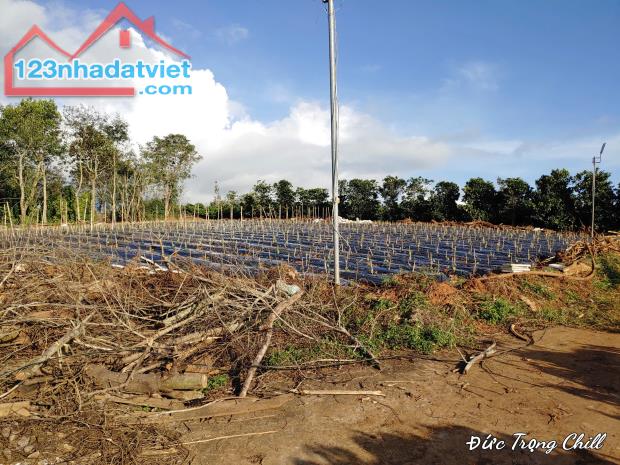 Bán đất Vườn nghỉ dưỡng View Đẹp tại thôn 1,xã Tà Năng,Đức Trọng,Lâm Đồng.350 triệu/sào - 5