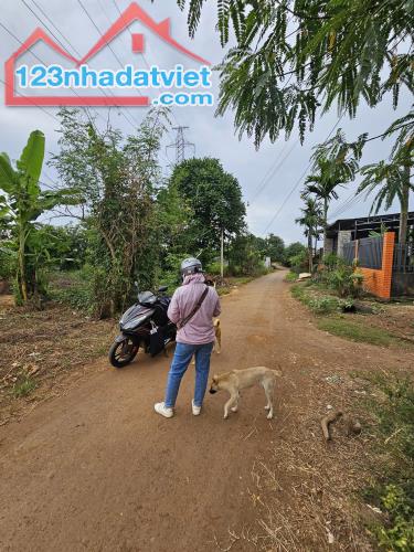 Bán đất Buôn Niêng, Buôn Đôn cách nguyễn Thị Định nối dài chỉ 200m - 1