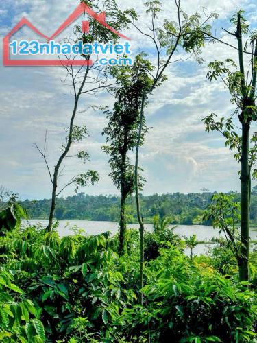 Bán Đất view Hồ và cánh đồng 600m2 có 160 Thổ Cư Tặng 800m2 Đất Ruộng. - 1
