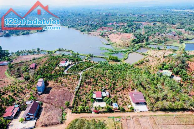 Bán Đất view Hồ và cánh đồng 600m2 có 160 Thổ Cư Tặng 800m2 Đất Ruộng. - 2