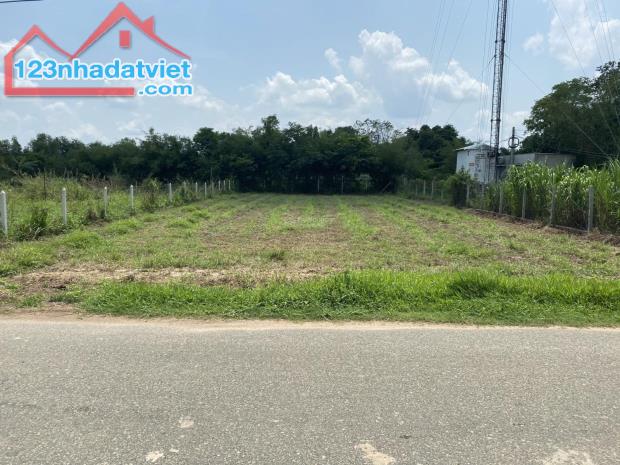 CHÍNH CHỦ TÔI BÁN 1000M2 ĐẤT SHR MT ĐƯỜNG 18M NẰM SÁT CỔNG KCN DÂN ĐÔNG GIÁ LỖ 185 TRIỆU