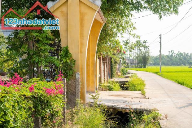 Bán cắt lỗ Homestay Hội An diện tích hơn 400m2 vi trí đẹp giá siêu hấp dẫn để đầu tư. - 1