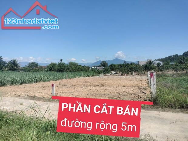 Một lô duy nhất cần bán lỗ mảnh đất tâm huyết 186m2 full thổ cư giá ngộp 469 triệu bao sổ - 2