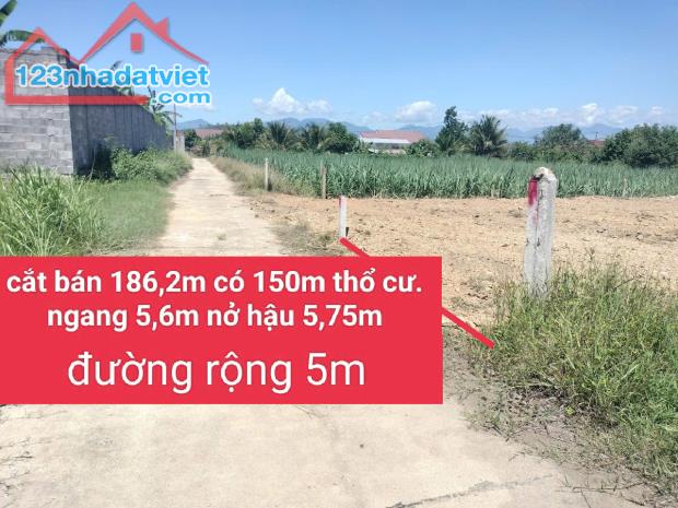 Một lô duy nhất cần bán lỗ mảnh đất tâm huyết 186m2 full thổ cư giá ngộp 469 triệu bao sổ - 3