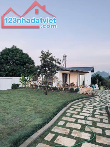 Bán cắt lỗ Homestay tại Mộc Châu - 5