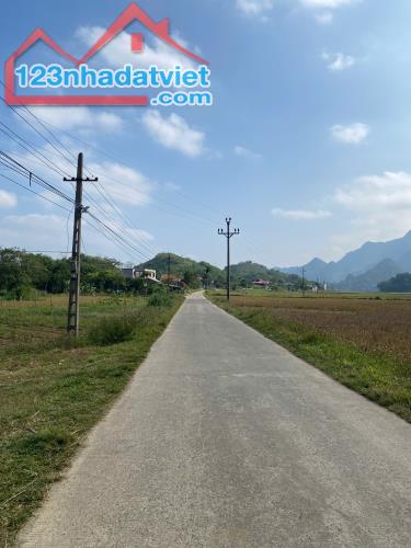 Cần bán 1528M đất_có 200M thổ cư mặt đường liên xã_Tân Lạc_Hoà Bình chỉ 6xx triệu - 2