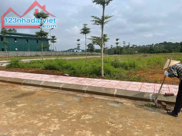 LÔ ĐẤT RẺ, ĐẸP, TIỀM NĂNG 157M2 HOÀ THẠCH, QUỐC OAI - 1