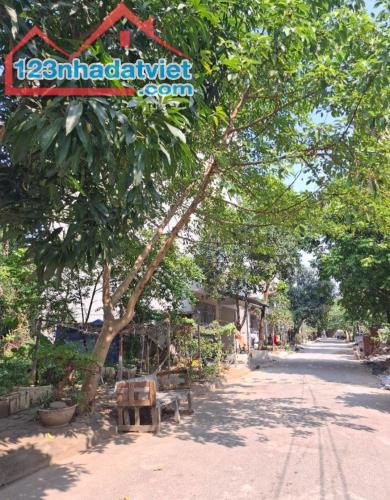 Bán đất Yên Nghĩa 50m hơn 9 tỷ phân lô vỉa hè kinh doanh - 2