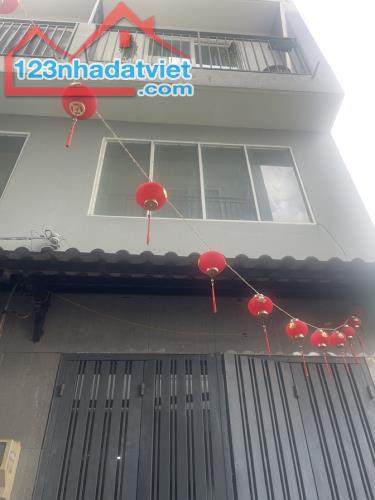 Cho thuê nhà nguyên căn tại Bùi Văn Ba, Phường Tân Thuận Đông, Quận 7, TP HCM