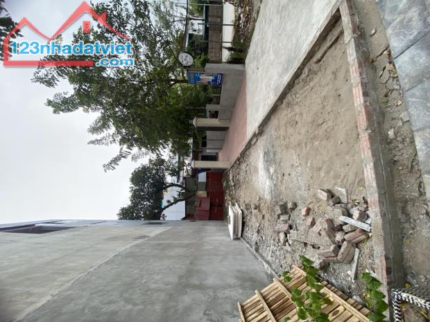 Đất Thái Bình-Mai Lâm-Đông Anh-DT 43M²-MT 3,4M-Thông Thoáng ÔTô-Hồ Điều Hòa - 2