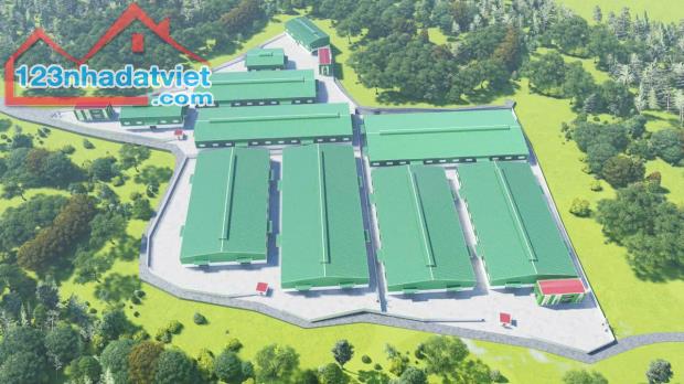 Cho Thuê 8.000m2 Xưởng Mới 100% Ngoài KCN Tân Uyên Bình Dương - 3