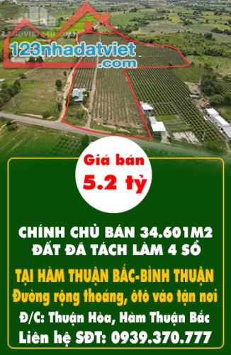 CHÍNH CHỦ BÁN 34.601M2 ĐẤT ĐÃ TÁCH LÀM 4 SỔ GIÁ CHỈ 150K/M2 TẠI HÀM THUẬN BẮC-BÌNH THUẬN