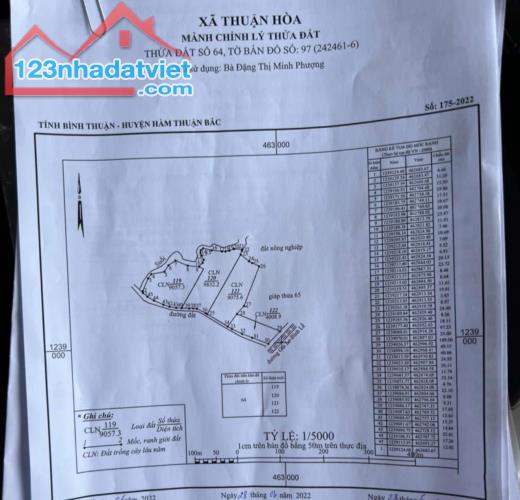 CHÍNH CHỦ BÁN 34.601M2 ĐẤT ĐÃ TÁCH LÀM 4 SỔ GIÁ CHỈ 150K/M2 TẠI HÀM THUẬN BẮC-BÌNH THUẬN - 1