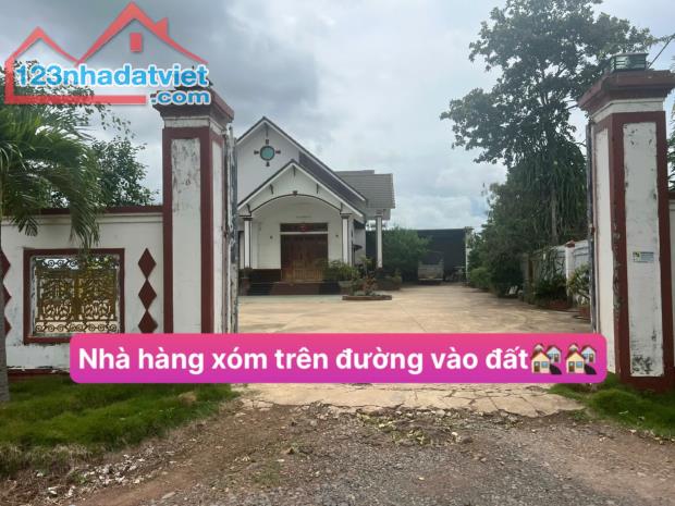 5,9 sào nhà vườn Tân Hoà Buôn Đôn chỉ 729 triệu - 3