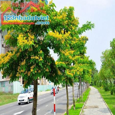 Cung cấp cây trồng công trình, hoa kiểng giá rẻ ở HCM, Đồng Nai