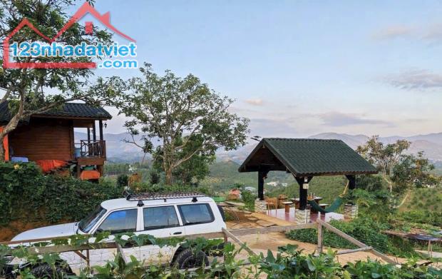 💯💯Bán Homestay gỗ săn mây Đại Lào Bảo Lộc - CỰC ĐẸP - 1