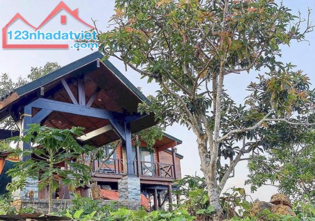 💯💯Bán Homestay gỗ săn mây Đại Lào Bảo Lộc - CỰC ĐẸP - 2