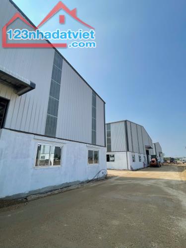 Cho Thuê Kho Xưởng 1400m² Tại Đường 379, Văn Giang, Hưng Yên – Giá Tốt, Hợp Đồng Dài Hạn - 1