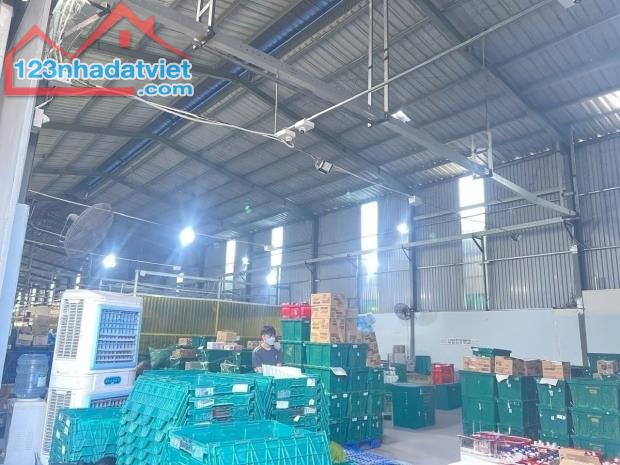 Cho thuê xưởng giá rẻ chỉ 70 triệu: 2000m2. Trảng Dài-Biên Hòa-Đồng Nai - 2