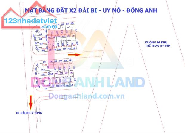 Bán đất đấu giá X2 Đài Bi,Uy Nỗ,Đông Anh,Hà Nội - 4