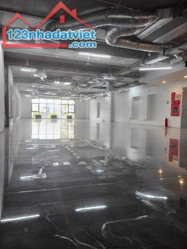 Building 10T mới toanh khu vực Liễu Giai – Đội Cấn, 450m2, MT 10m - 1