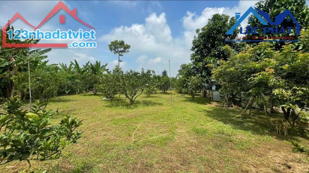 Bán đất vườn 2.000m2 View sông Đồng Nai xã Tân Bình, huyện Vĩnh Cửu giá 12 tỷ - 1