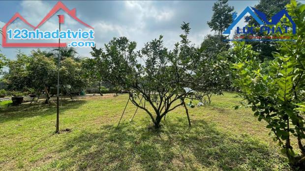 Bán đất vườn 2.000m2 View sông Đồng Nai xã Tân Bình, huyện Vĩnh Cửu giá 12 tỷ - 2