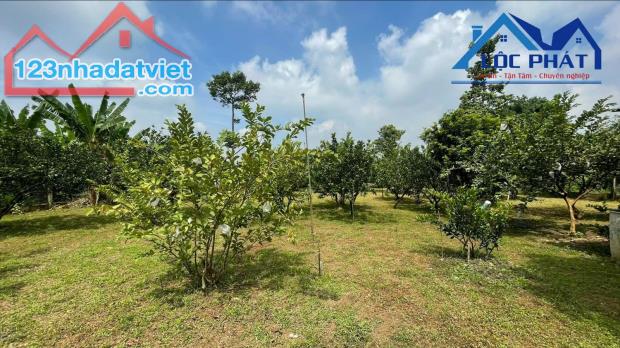 Bán đất vườn 2.000m2 View sông Đồng Nai xã Tân Bình, huyện Vĩnh Cửu giá 12 tỷ - 3