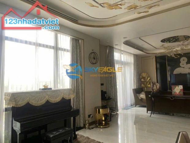 💎 Bán gấp biệt thự Tân Cảng thuộc khu đô thị Vinhomes Central Park💎 - 4