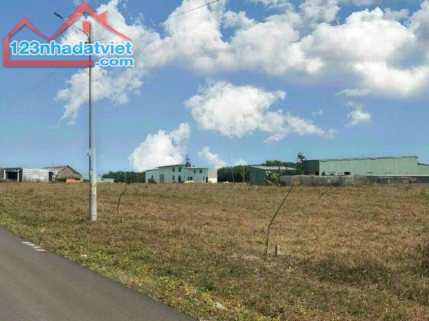 SANG LẠI 10.500M2 ĐẤT THỔ CƯ SẴN LIỀN KỀ CỤM KCN, SÁT ĐƯỜNG LỚN DÂN CƯ ĐÔNG GIÁ 185 TRIỆU