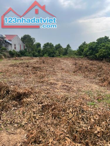 CƠ HỘI ĐẦU TƯ SINH LỜI CAO ĐẤT THUỘC THỊ XÃ CHŨ- BẮC GIANG- SỞ HỮU FARM DÒNG TIỀN ỔN ĐỊNH - 4