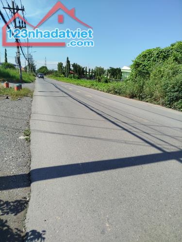 Bán đất mặt tiền 13.000m2, Võ Văn Bích, Xã Bình Mỹ , Củ Chi - 1