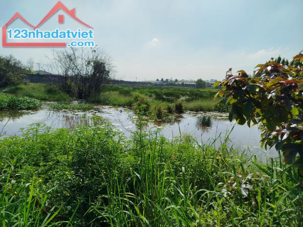 Bán đất mặt tiền 13.000m2, Võ Văn Bích, Xã Bình Mỹ , Củ Chi - 2