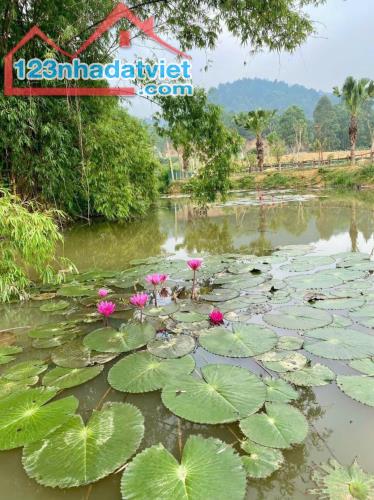 HÀNG HIẾM TẠI Ngọc Thanh, Phúc Yên, Vĩnh Phúc - Bán khu biệt thự nghỉ dưỡng 27.000m2 - 1