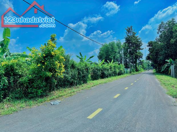 Giá 10,5 tỷ. Bán đất 3799m góc 2 mặt tiền đường Xóm Rạch-Bình Lợi-Vĩnh Cửu. - 2