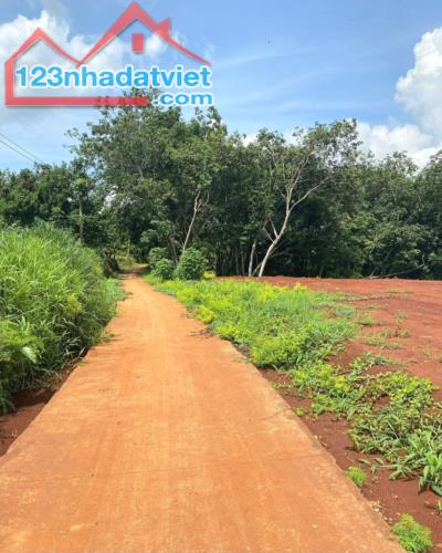 Cần bán 1156m2, đất full hồng, mặt giáp đường bê tông 43m, kề quốc lộ 13.
